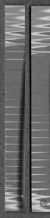 Back Edges (Left/Right)