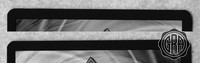 Back Edges (Top/Bottom)