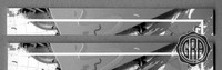 Back Edges (Top/Bottom)