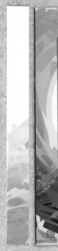 Back Edges (Left/Right)