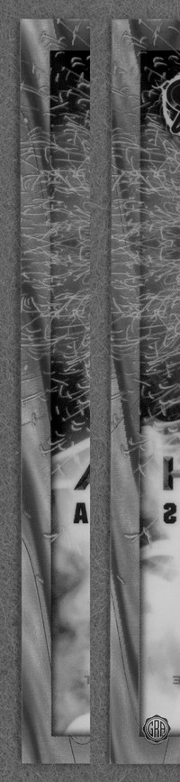 Front Edges (Left/Right)