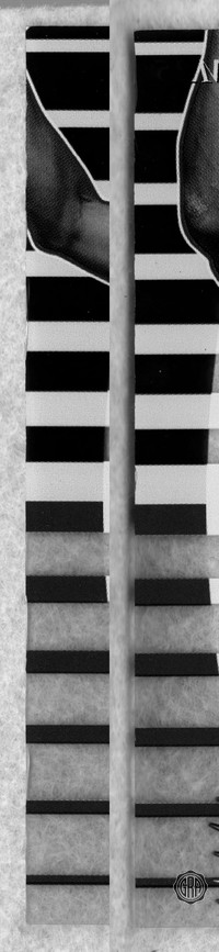 Back Edges (Left/Right)