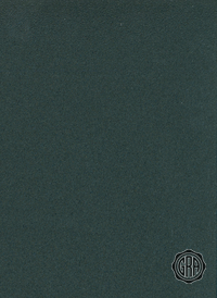 Front (Angled Light)