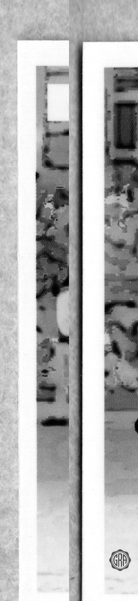 Back Edges (Left/Right)