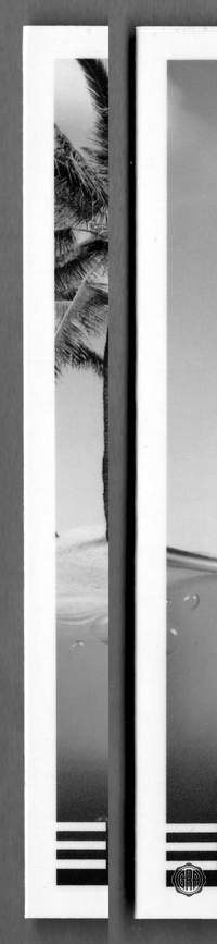 Back Edges (Left/Right)