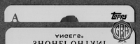 Front Edges (Top/Bottom)