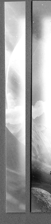 Back Edges (Left/Right)