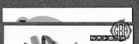 Back Edges (Top/Bottom)