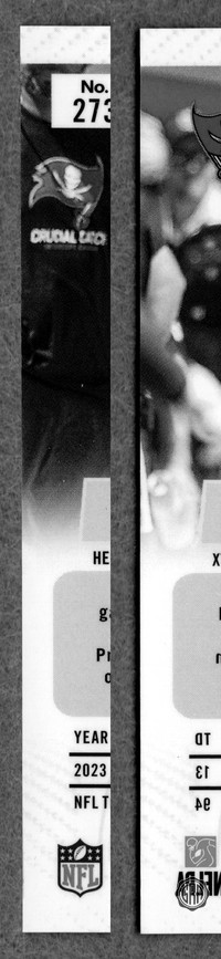 Back Edges (Left/Right)