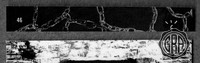 Back Edges (Top/Bottom)