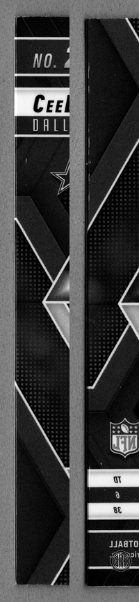 Back Edges (Left/Right)