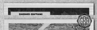 Front Edges (Top/Bottom)