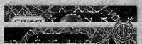 Front Edges (Top/Bottom)