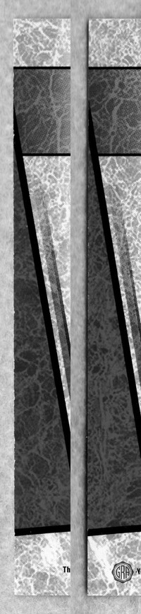 Back Edges (Left/Right)