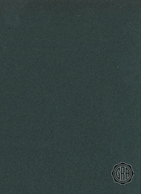 Back (Angled Light)