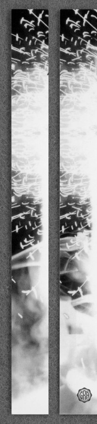 Back Edges (Left/Right)