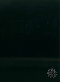 Front (Angled Light)