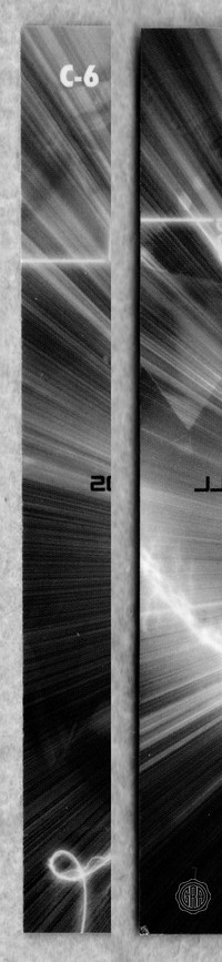 Back Edges (Left/Right)