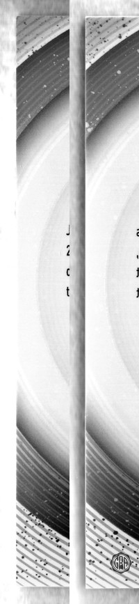 Back Edges (Left/Right)