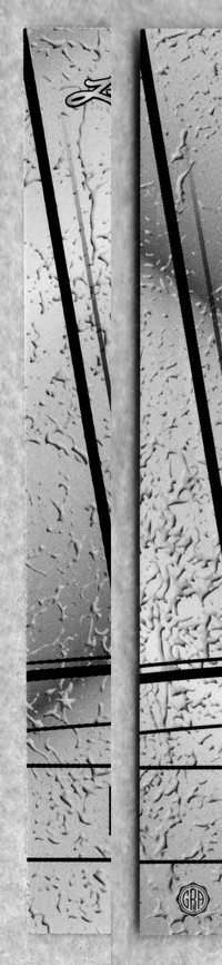 Front Edges (Left/Right)
