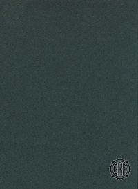 Front (Angled Light)