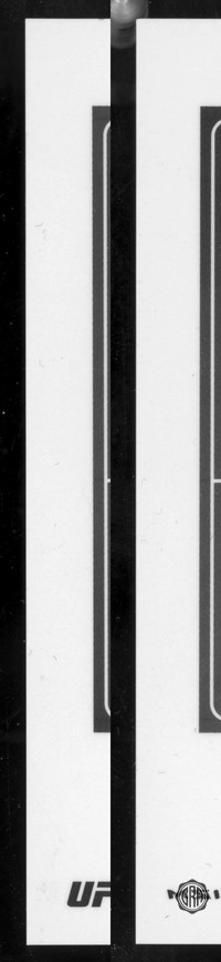 Back Edges (Left/Right)