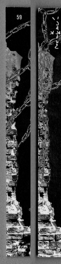 Back Edges (Left/Right)
