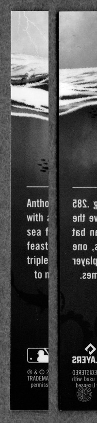 Back Edges (Left/Right)