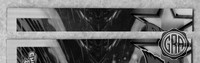 Front Edges (Top/Bottom)