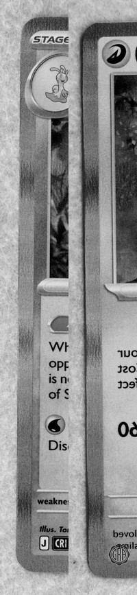 Front Edges (Left/Right)