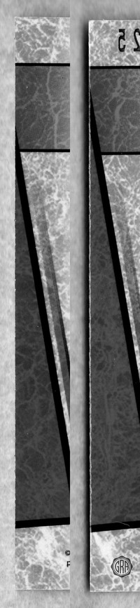 Back Edges (Left/Right)
