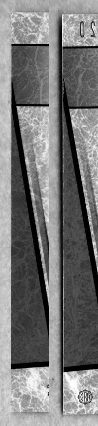Back Edges (Left/Right)