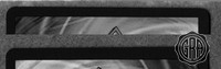 Back Edges (Top/Bottom)