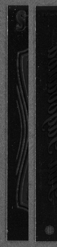Front Edges (Left/Right)