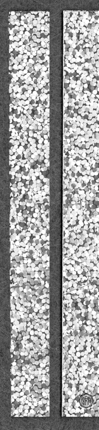 Back Edges (Left/Right)