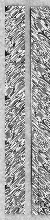 Back Edges (Left/Right)