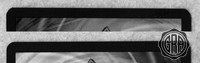 Back Edges (Top/Bottom)