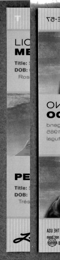 Back Edges (Left/Right)