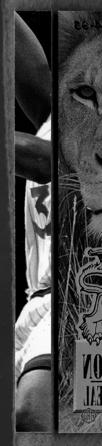 Front Edges (Left/Right)