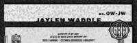 Back Edges (Top/Bottom)