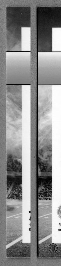 Back Edges (Left/Right)