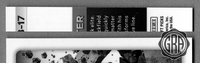 Back Edges (Top/Bottom)