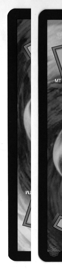 Back Edges (Left/Right)