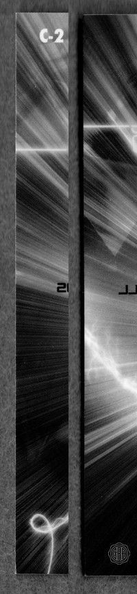 Back Edges (Left/Right)