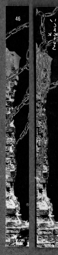 Back Edges (Left/Right)