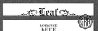 Front Edges (Top/Bottom)