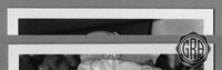 Front Edges (Top/Bottom)