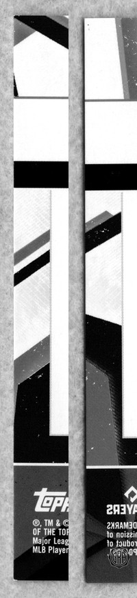 Back Edges (Left/Right)