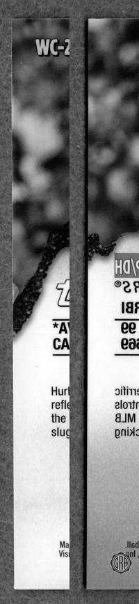 Back Edges (Left/Right)
