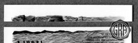 Back Edges (Top/Bottom)